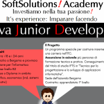 Soft Solutions! Academy